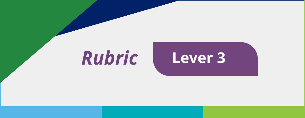 Rubric Lever 3