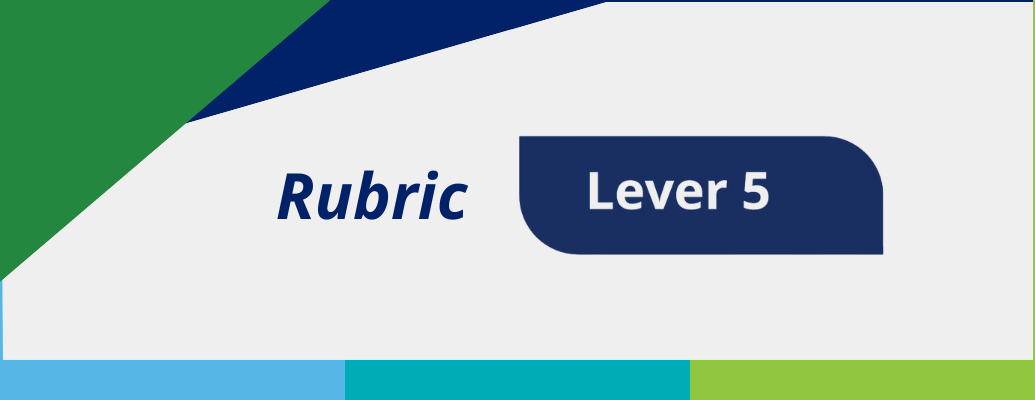 Rubric Lever 5