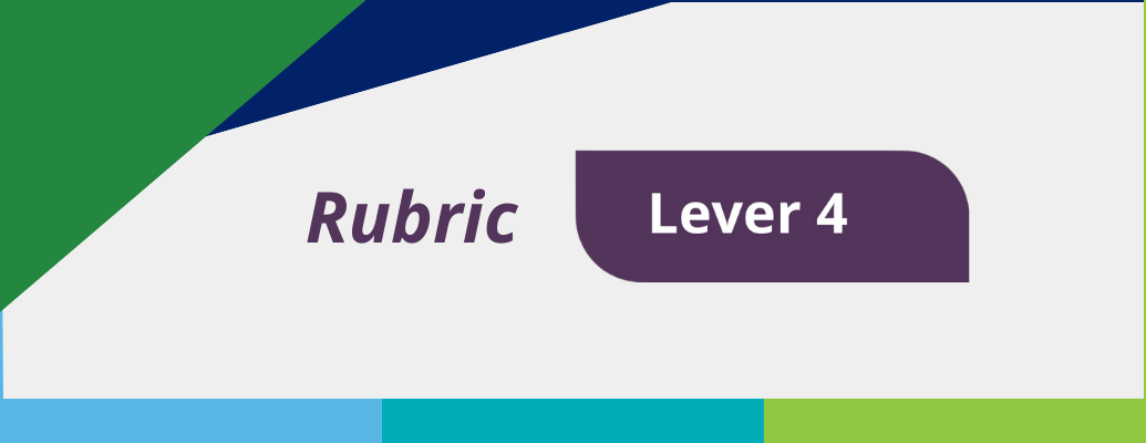 Rubric Lever 4