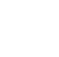 Elementary icon